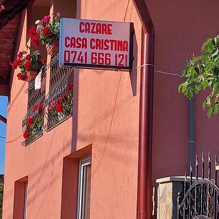 Hotel Casa Cristina Cîrţişoara Zewnętrze zdjęcie
