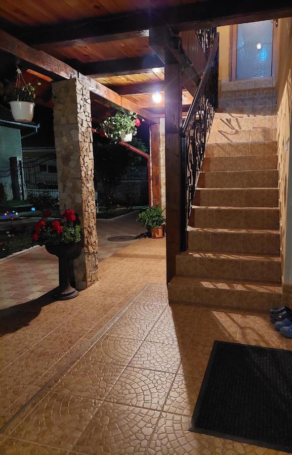 Hotel Casa Cristina Cîrţişoara Zewnętrze zdjęcie