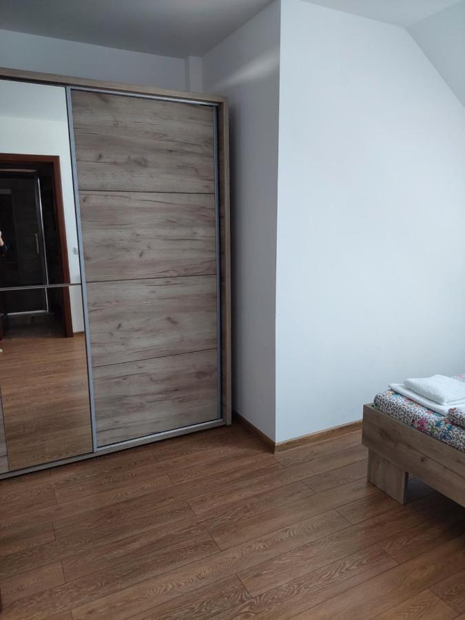 Hotel Casa Cristina Cîrţişoara Zewnętrze zdjęcie