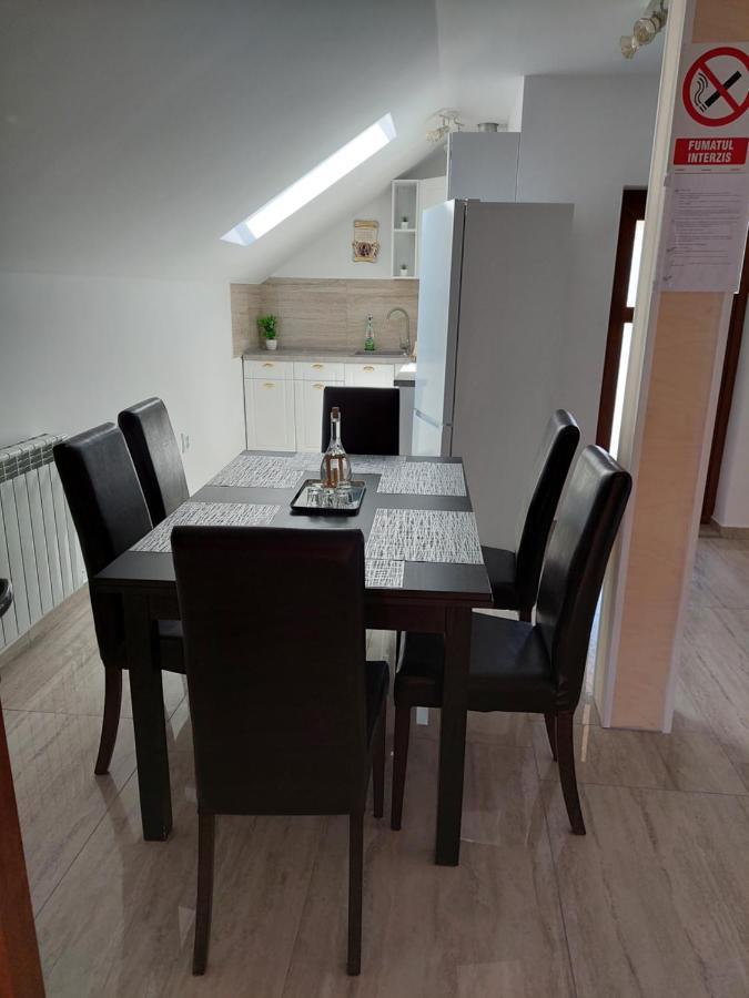 Hotel Casa Cristina Cîrţişoara Zewnętrze zdjęcie
