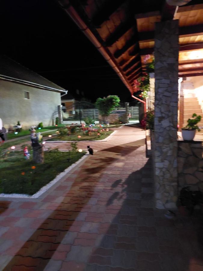 Hotel Casa Cristina Cîrţişoara Zewnętrze zdjęcie