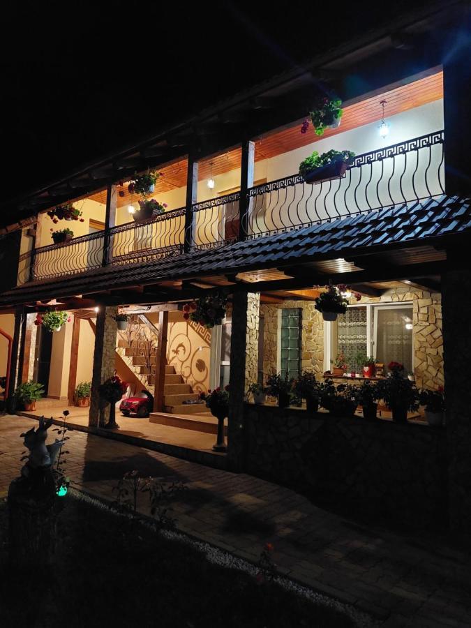 Hotel Casa Cristina Cîrţişoara Zewnętrze zdjęcie