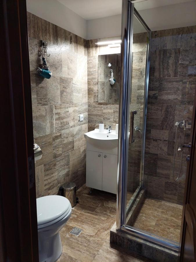Hotel Casa Cristina Cîrţişoara Zewnętrze zdjęcie