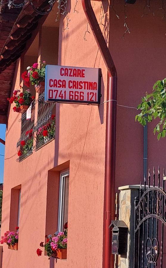 Hotel Casa Cristina Cîrţişoara Zewnętrze zdjęcie
