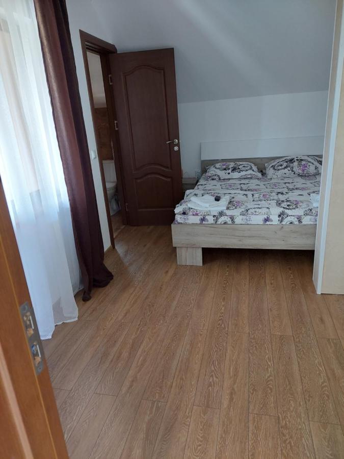 Hotel Casa Cristina Cîrţişoara Zewnętrze zdjęcie