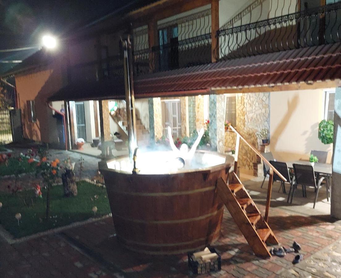 Hotel Casa Cristina Cîrţişoara Zewnętrze zdjęcie