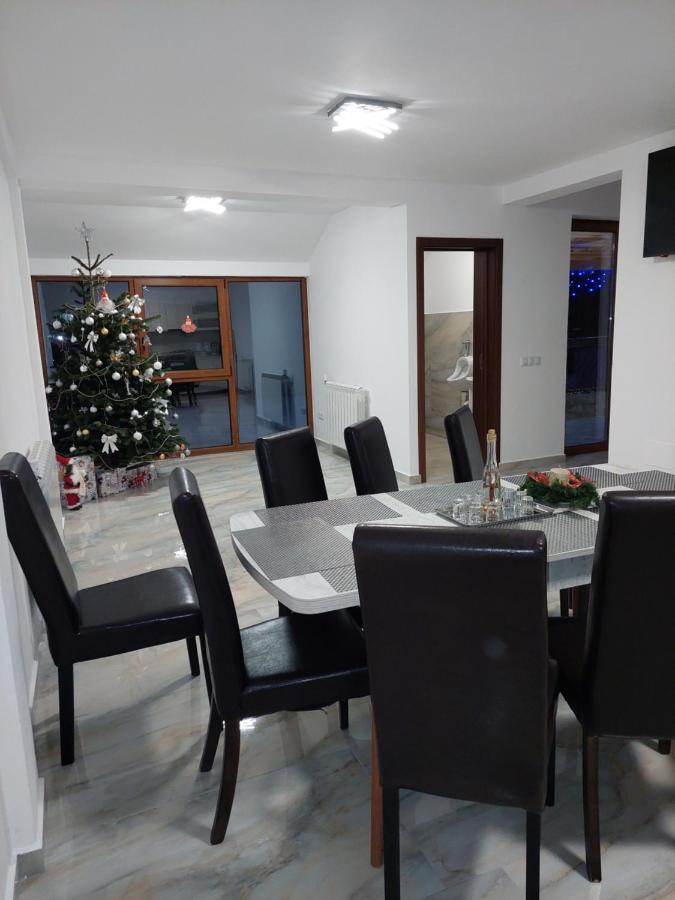 Hotel Casa Cristina Cîrţişoara Zewnętrze zdjęcie