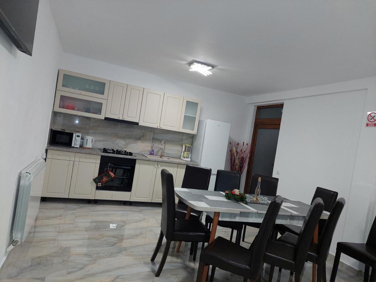 Hotel Casa Cristina Cîrţişoara Zewnętrze zdjęcie