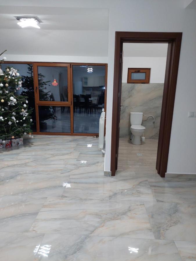 Hotel Casa Cristina Cîrţişoara Zewnętrze zdjęcie