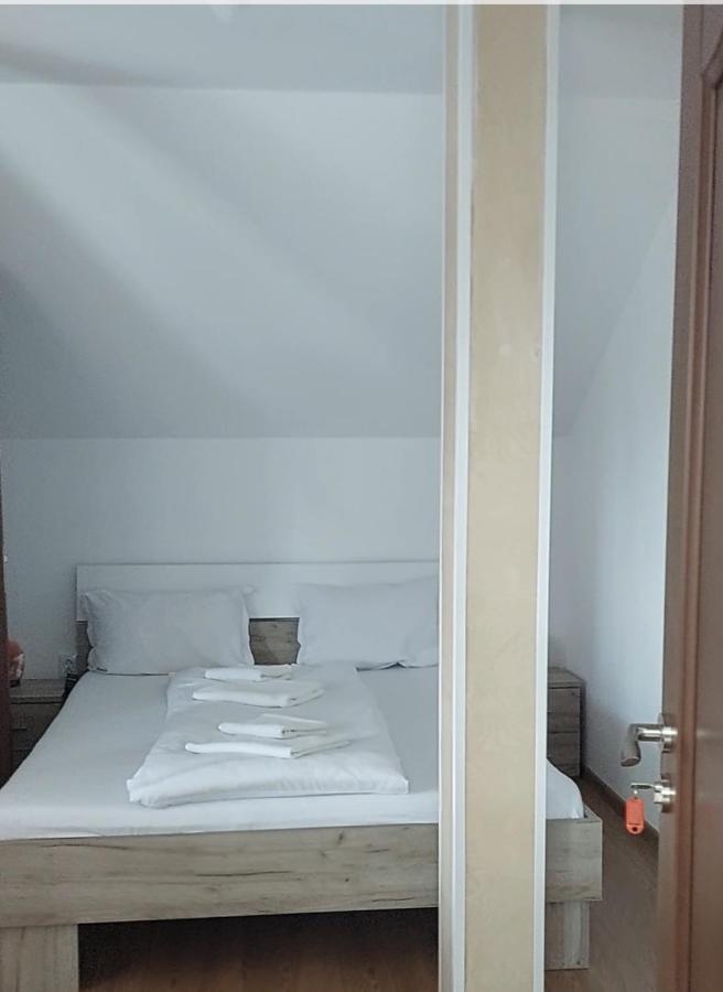 Hotel Casa Cristina Cîrţişoara Zewnętrze zdjęcie