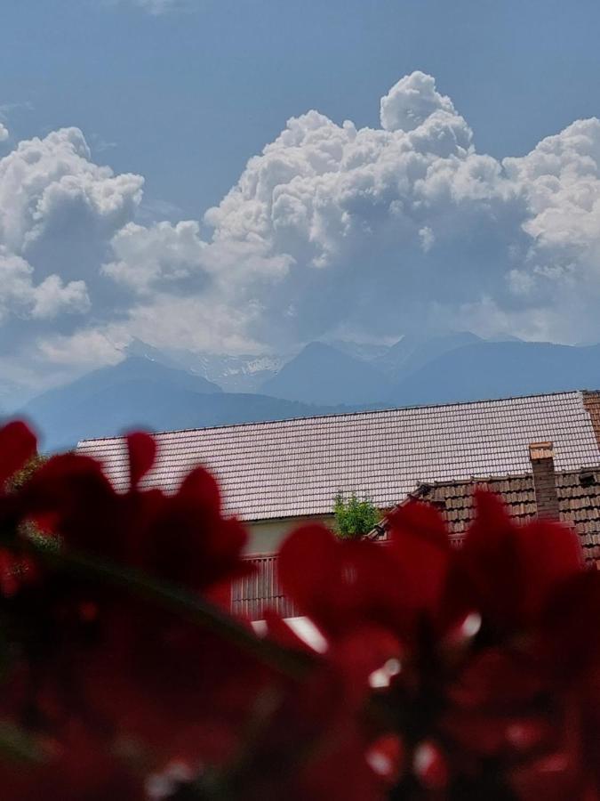 Hotel Casa Cristina Cîrţişoara Zewnętrze zdjęcie