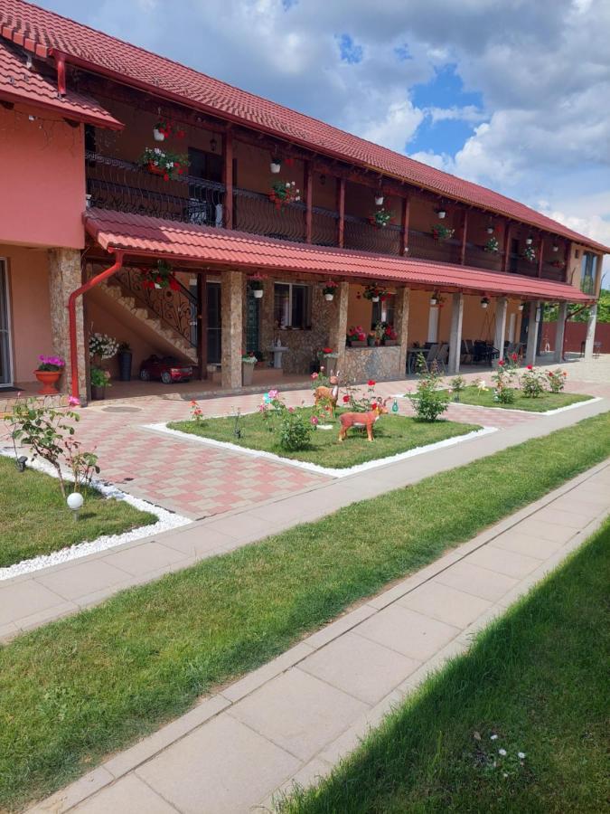 Hotel Casa Cristina Cîrţişoara Zewnętrze zdjęcie