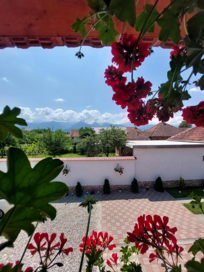 Hotel Casa Cristina Cîrţişoara Zewnętrze zdjęcie