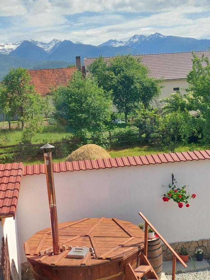 Hotel Casa Cristina Cîrţişoara Zewnętrze zdjęcie