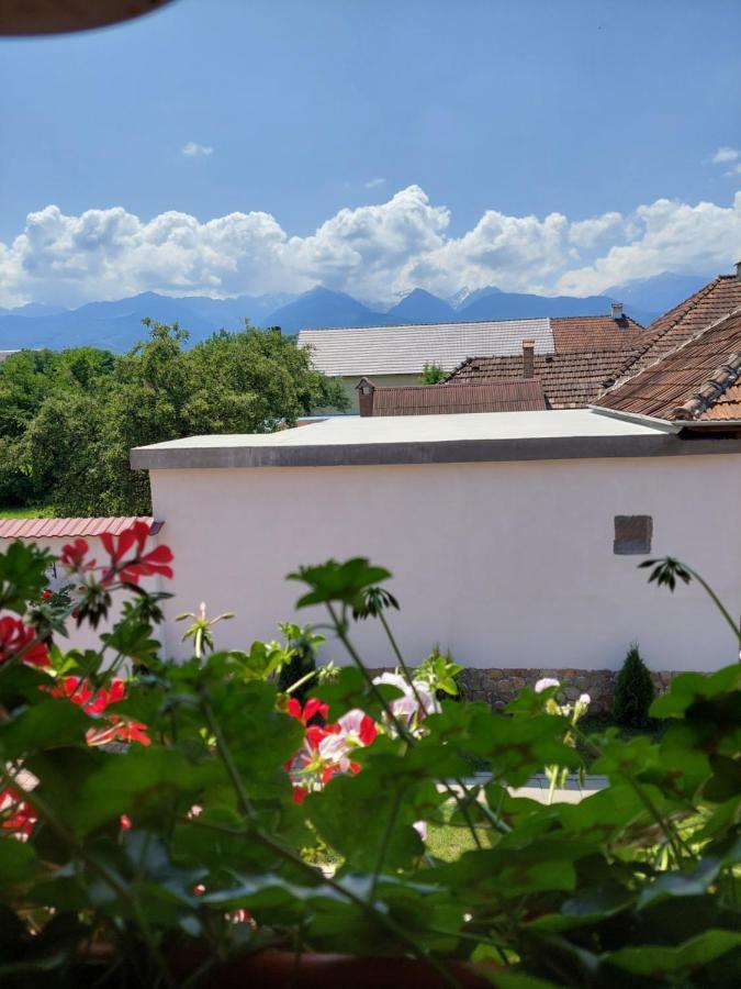 Hotel Casa Cristina Cîrţişoara Zewnętrze zdjęcie