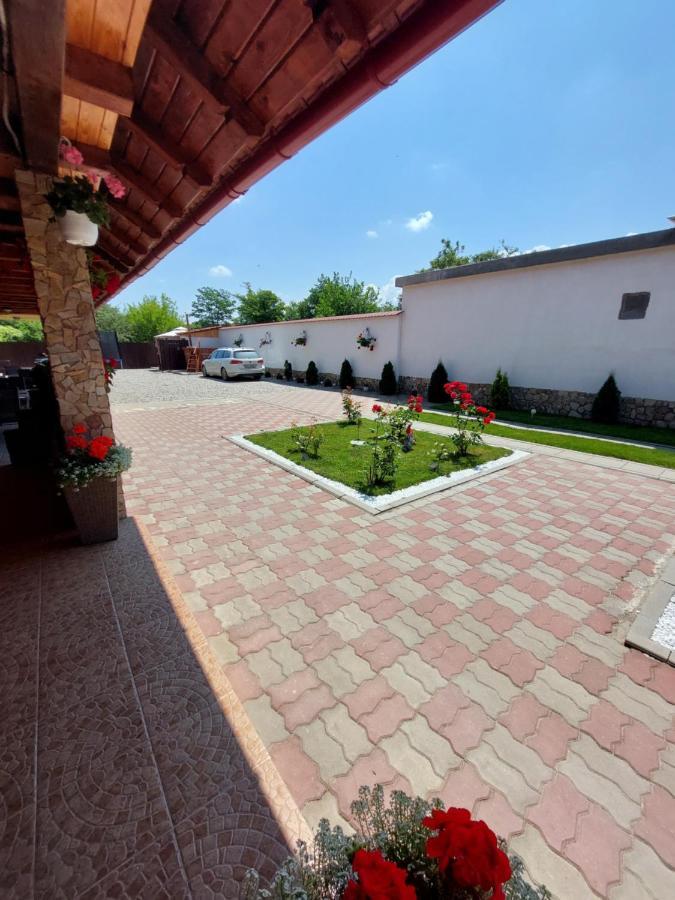 Hotel Casa Cristina Cîrţişoara Zewnętrze zdjęcie