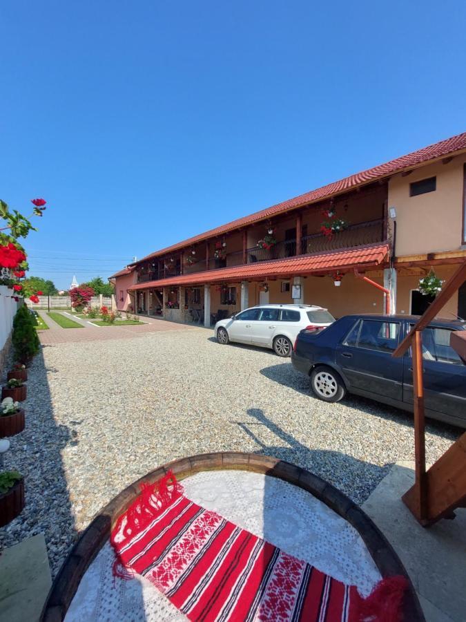 Hotel Casa Cristina Cîrţişoara Zewnętrze zdjęcie