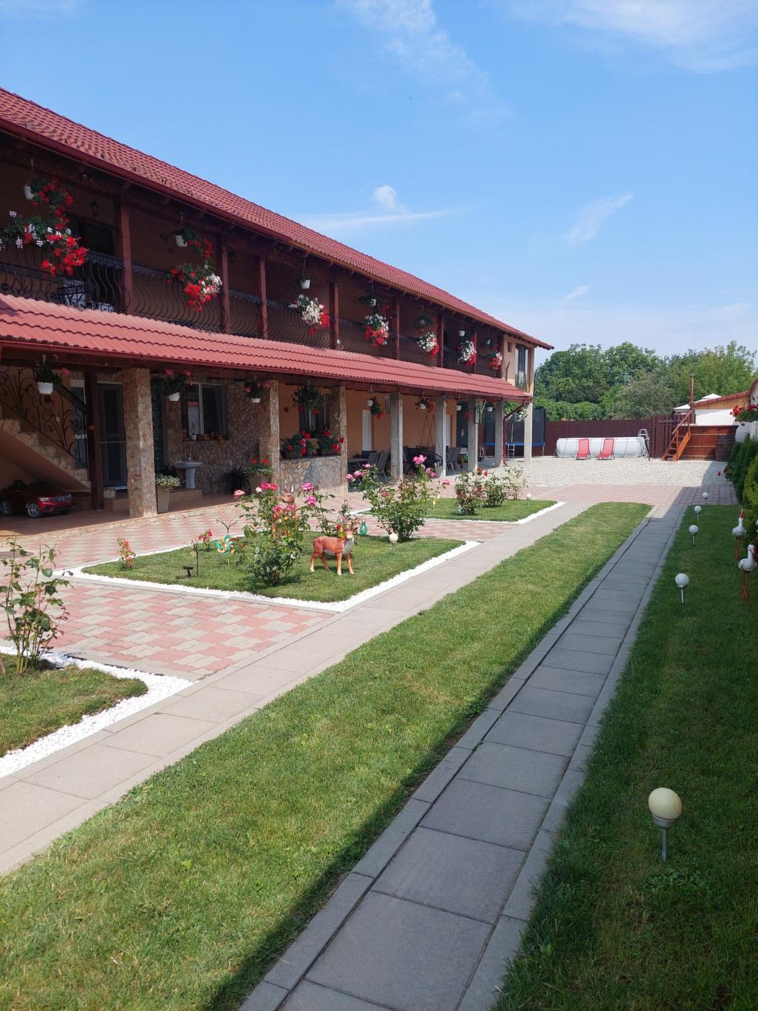 Hotel Casa Cristina Cîrţişoara Zewnętrze zdjęcie